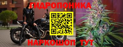 альфа пвп Донецк
