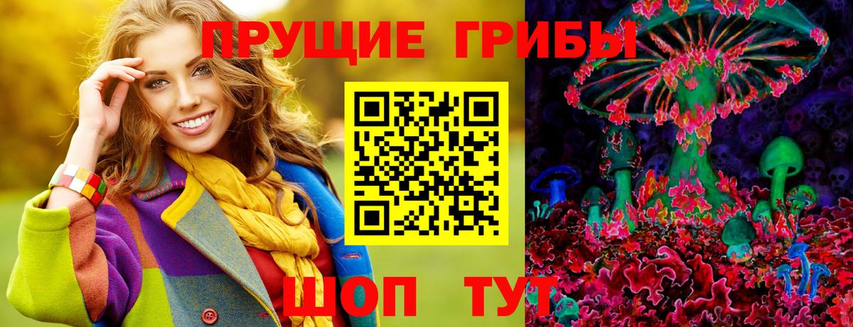 Псилоцибиновые грибы прущие грибы Мелеуз