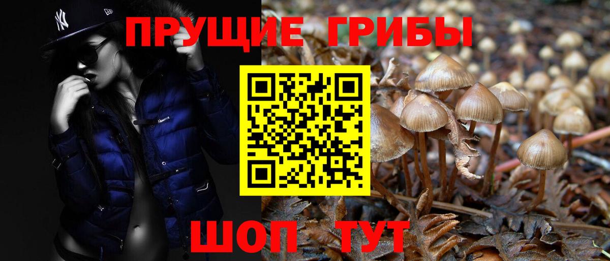 Псилоцибиновые грибы Cubensis  где найти наркотики  Мелеуз  Галлюциногенные грибы Magic Shrooms  Вход с VPN 